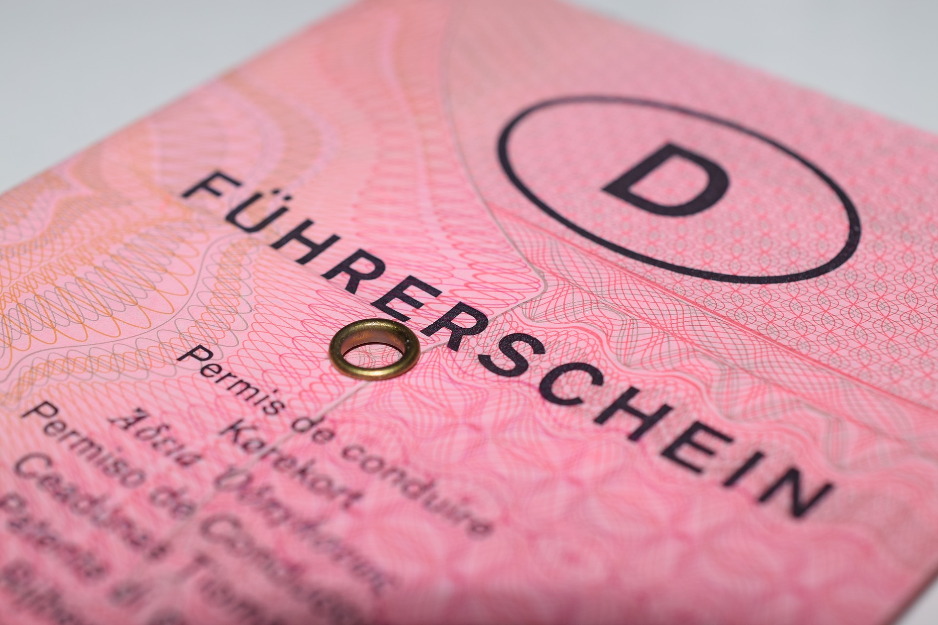 The pink EC driving licence