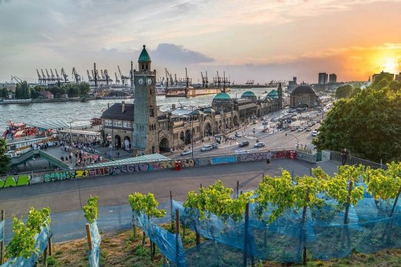 Hamburg in the evening light