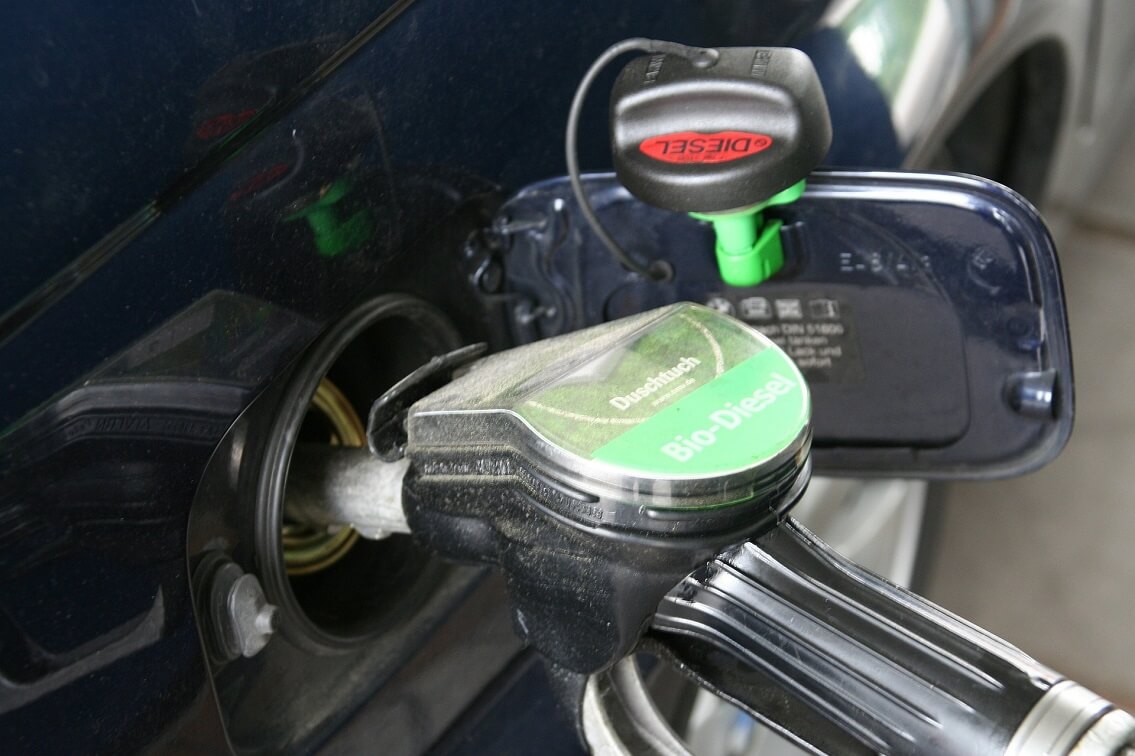 Dispensing nozzle for bio-diesel inserted into the tank opening