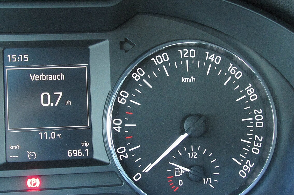 Speedometer needle and fuel gauge