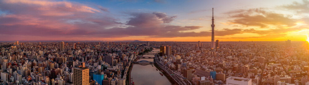 Panoramiczny widok na Tokio o zachodzie słońca z Tokyo Skytree i imponującą linią horyzontu